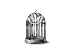 Rev Bird Cage art